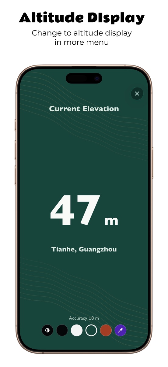Customizable full-screen altitude display